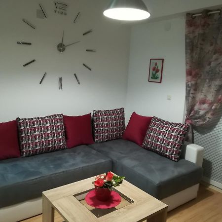Apartments Angelovski 1 オフリド エクステリア 写真